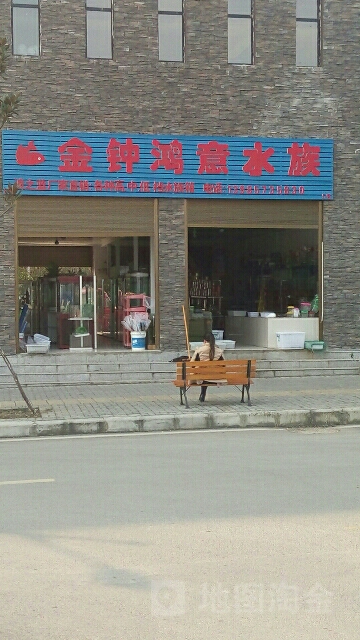 金钟鸿果水族