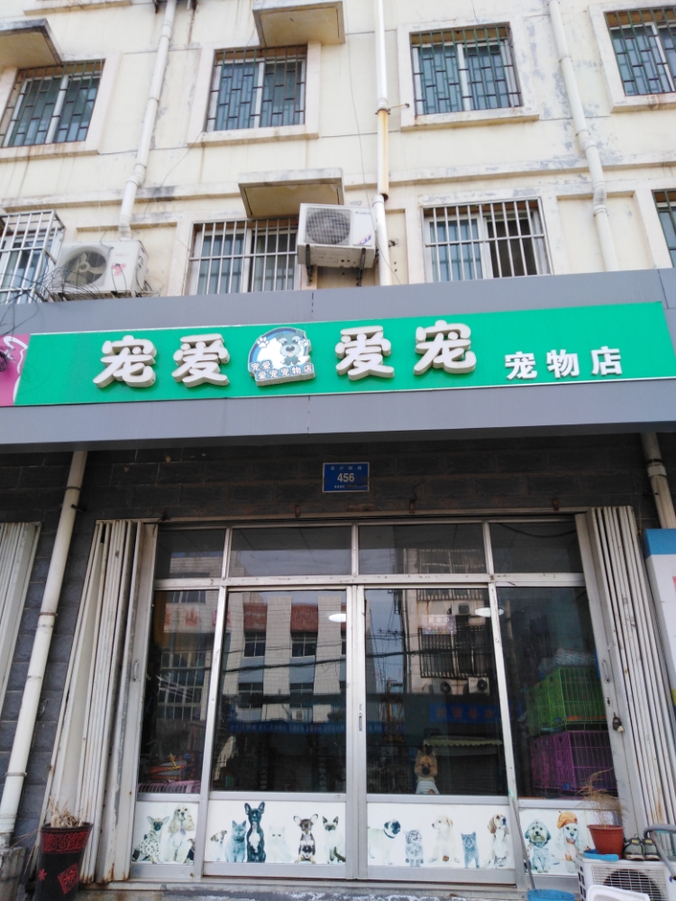 宠爱爱宠宠物店