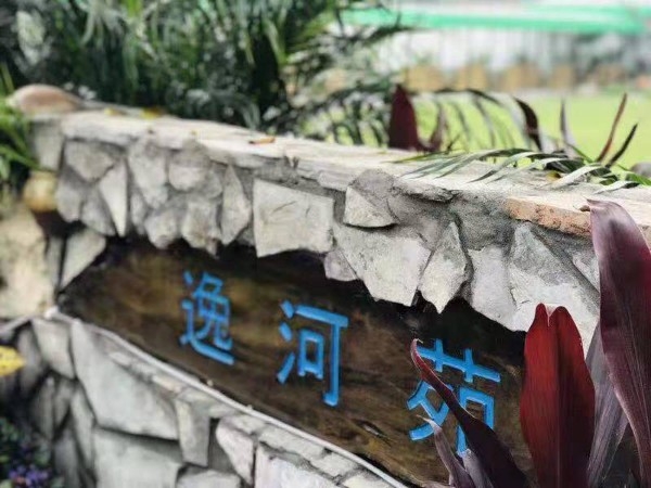 逸河苑