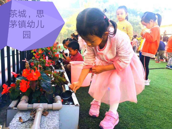 茶城幼儿园