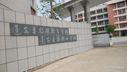 蓬安县桑子小学校