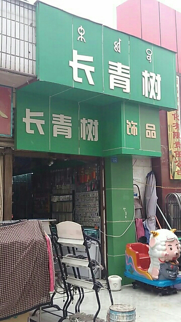 长青树饰品