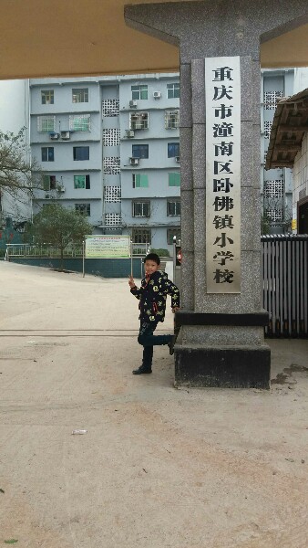 潼南区卧佛镇小学