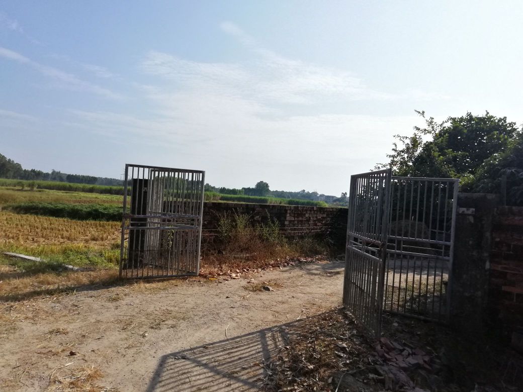 茂名市化州市同庆镇谢白村四公园坡