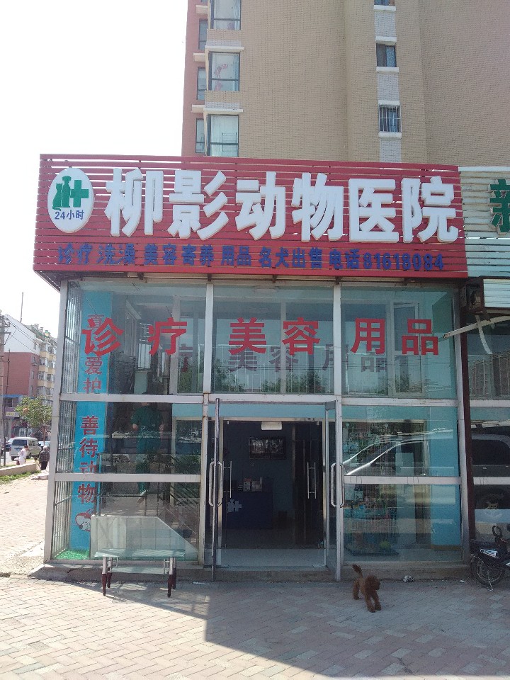 柳影中心动物医院·碎石中心