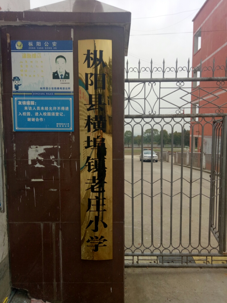 新华村地名网_安徽省铜陵市枞阳县横埠镇新华村资料简介