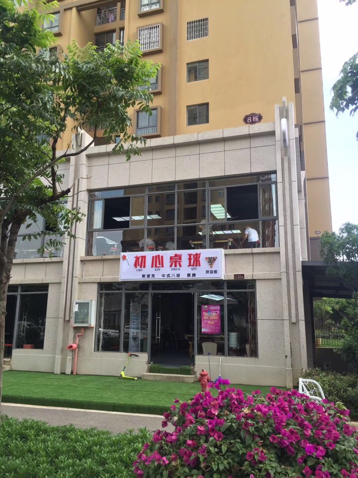 初信桌球