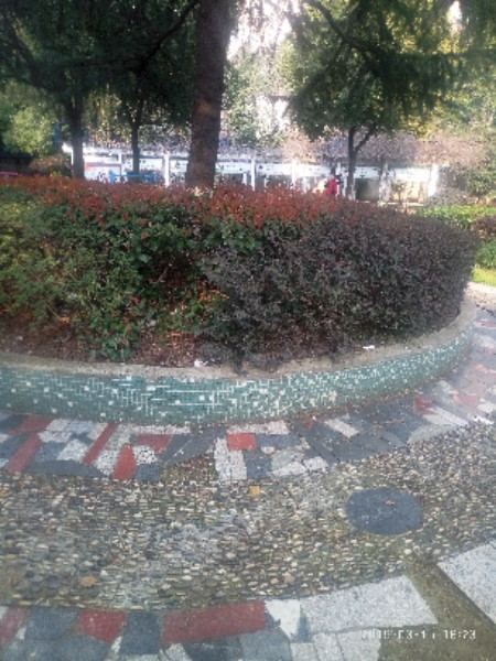 泗北公园