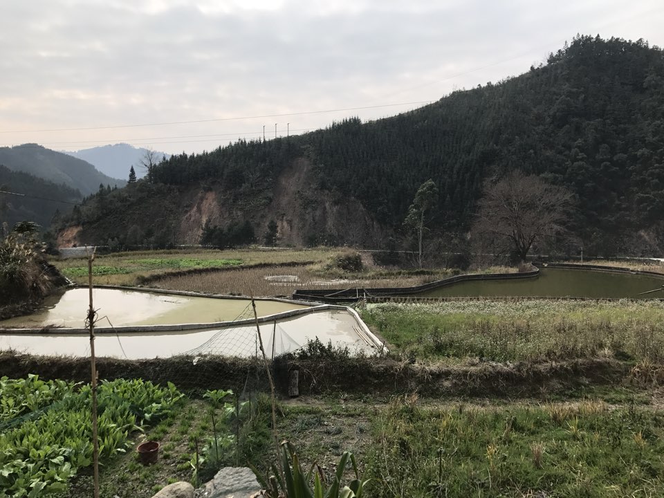 河池市环江毛南族自治县