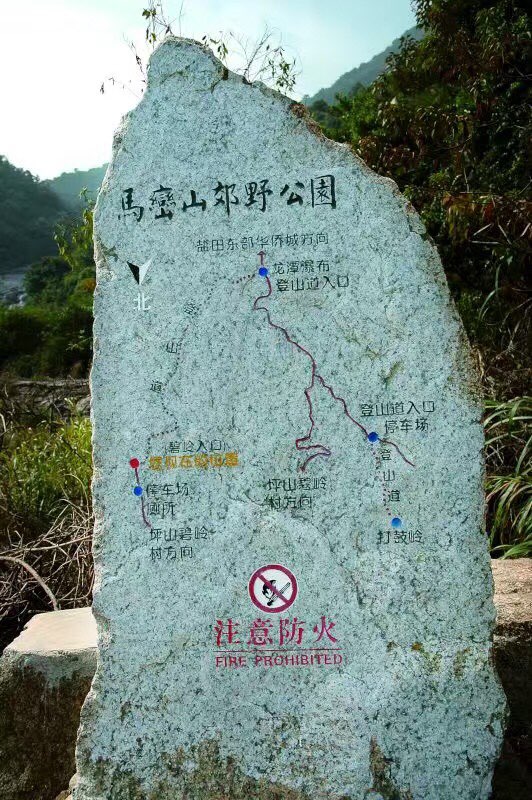 马峦山郊野公园-停车场