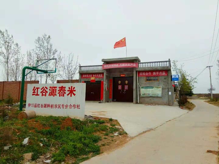 河南省洛阳市伊川县吕店镇王村