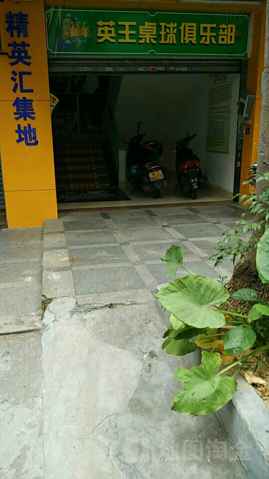 新英王桌球室