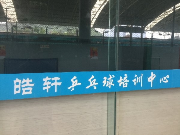 皓轩乒乓球俱乐部(睿力·上城店)