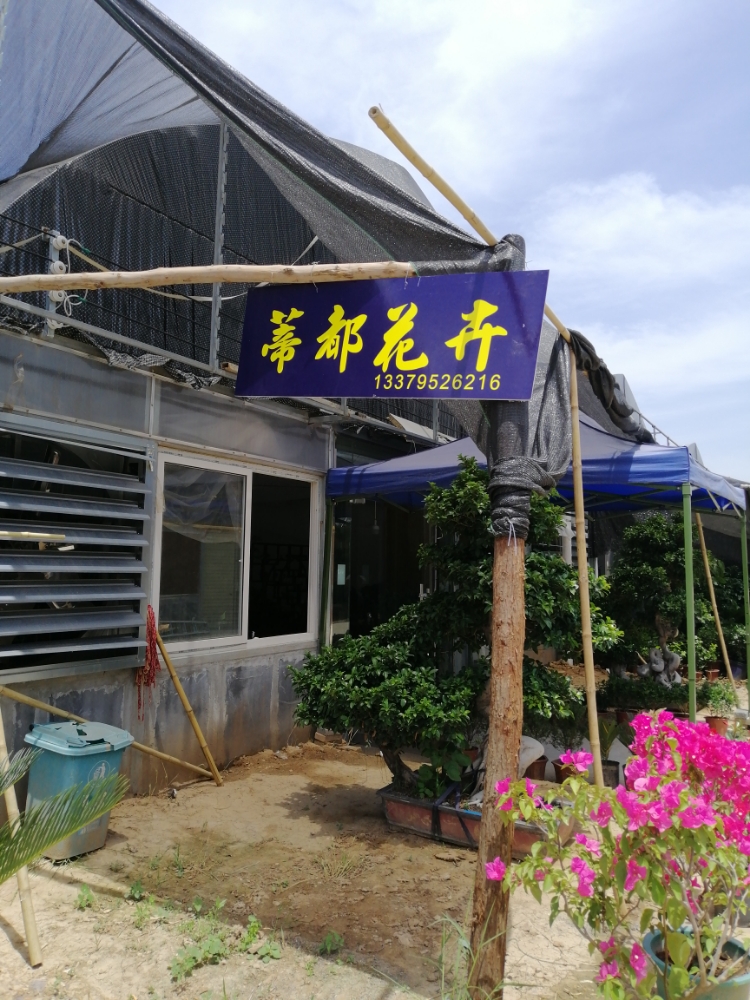 咸阳蒂都花卉