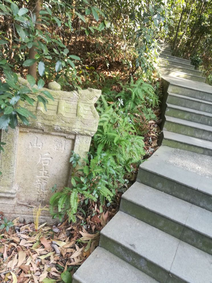 山刘后土龙神