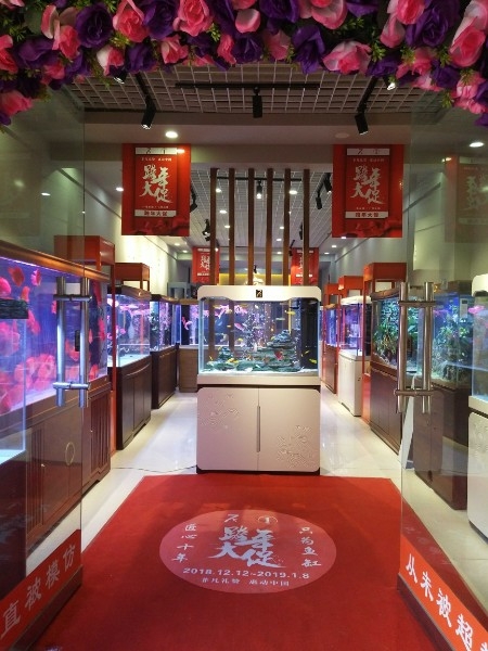 七m水族(鱼缸专卖店)