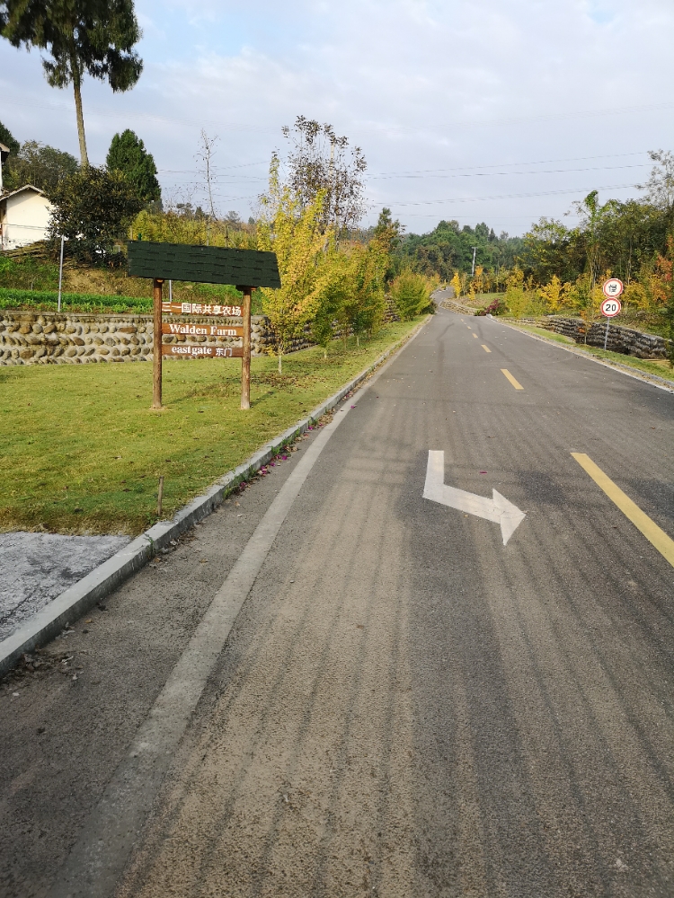 绵阳市江油市青莲镇双石村