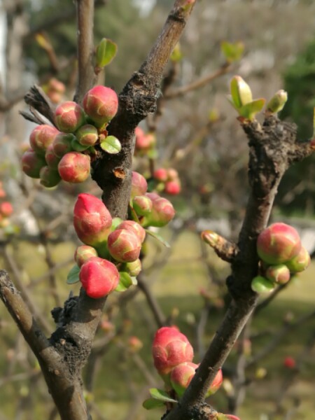 临沂市郯城县马涝线