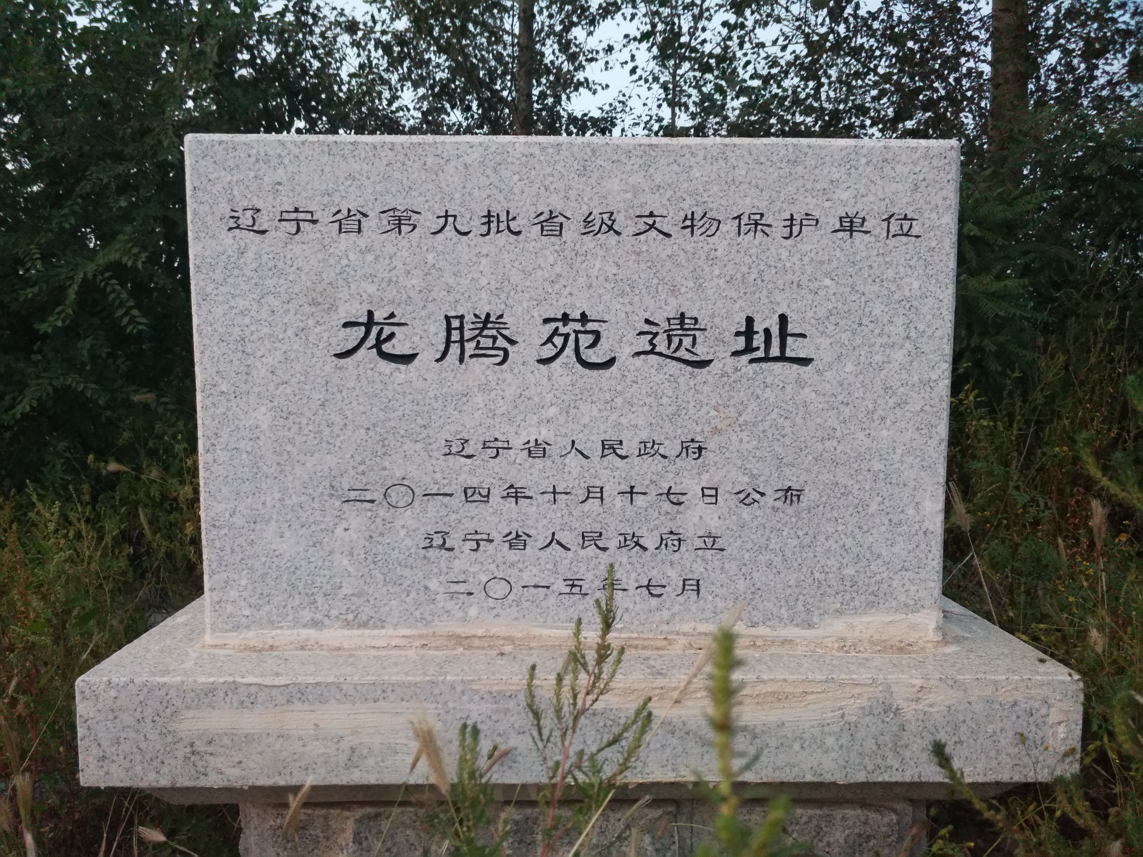 龙腾苑医治