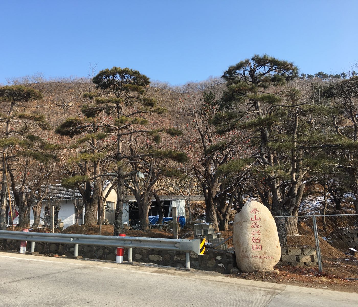 山东省泰安市泰山风景名胜区大津口乡李家泉村