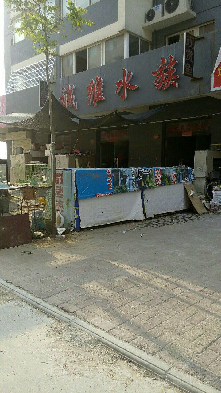 诚维水族(同汇花园店)