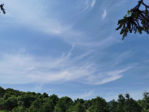 今荡神农旅观光药材基地
