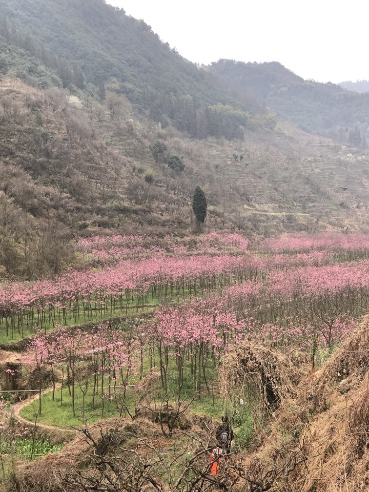 昆明市五华区昆禄公路--陡坡村委会