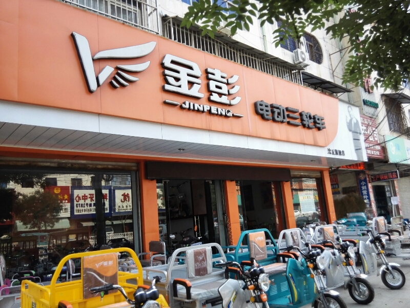 沈丘县槐店回族镇金彭电动二轮车(沈丘旗舰店)