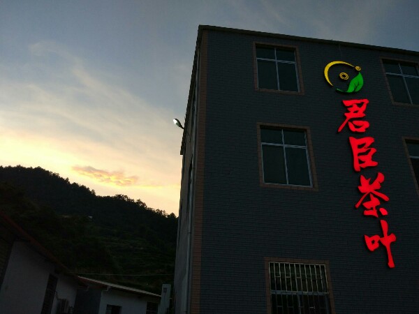 君臣茶叶
