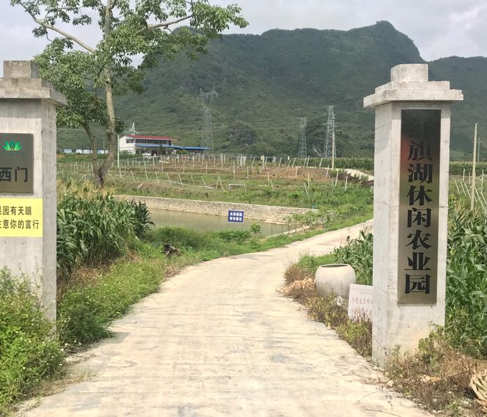 广西壮族自治区南宁市马山县