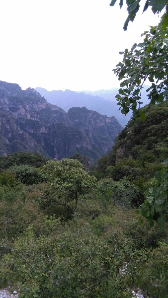 平峪生态清洁小流域