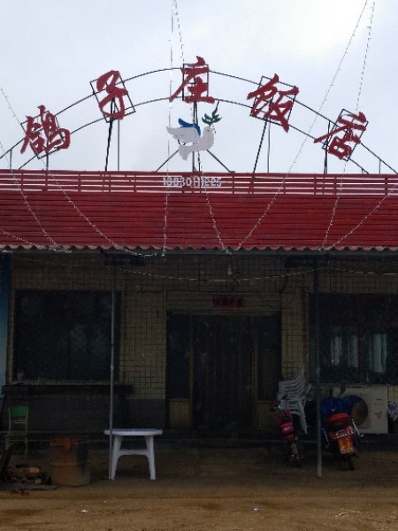 鸽子庄饭店