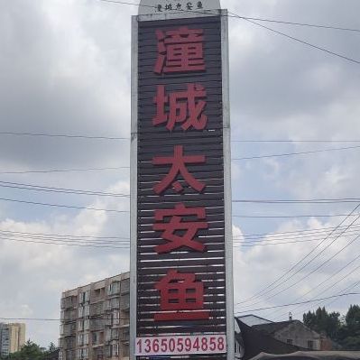 潼南太安鱼(西大街店)