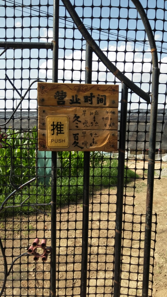 山西省大同市云冈区茶坊村平安大道