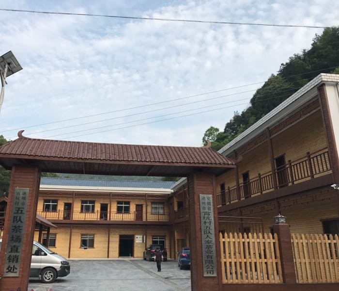 安徽省池州市贵池区梅村镇霄坑村五组