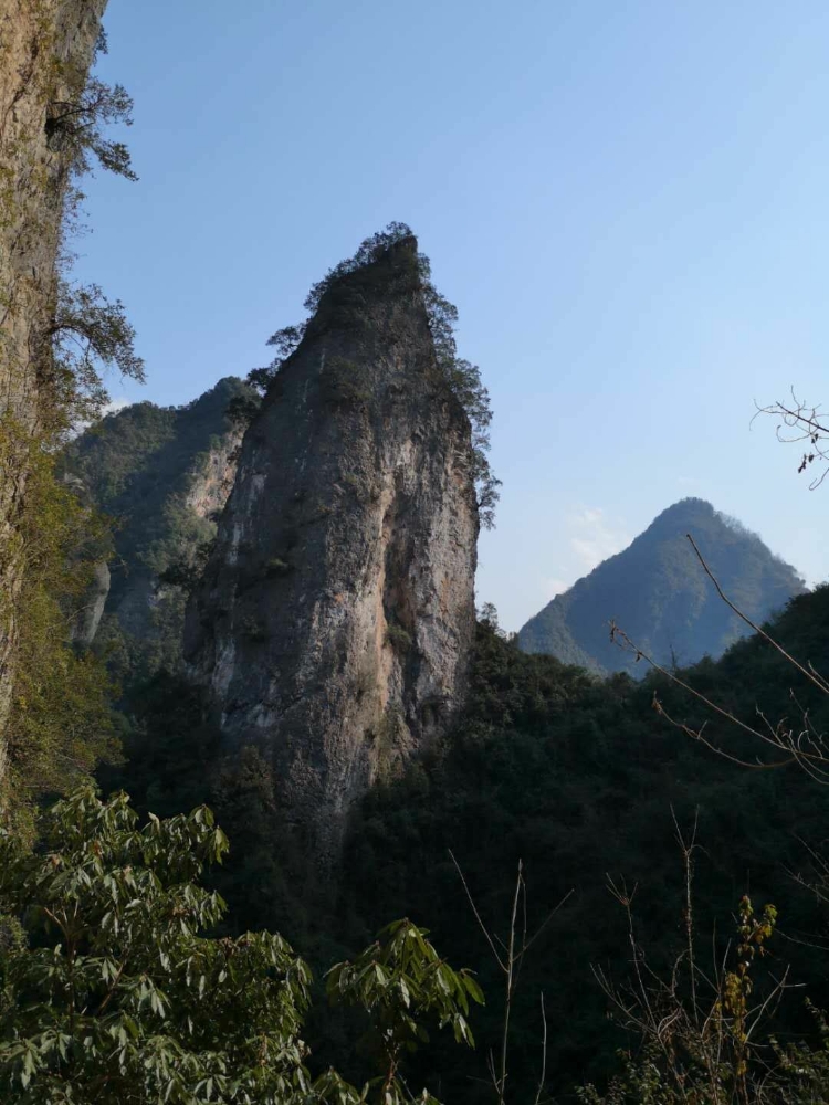 四川省达州市万源市紫溪乡柿子坝村