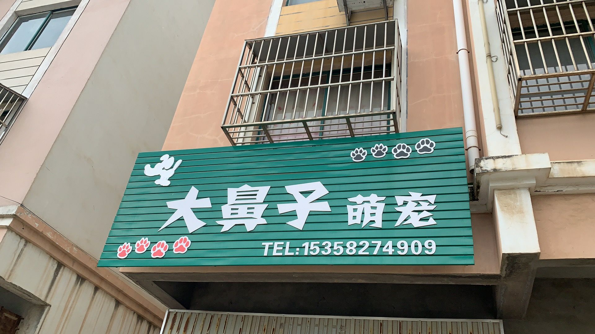 大鼻子犬舍