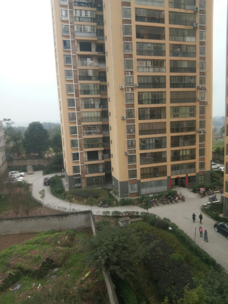 龙市世纪花都