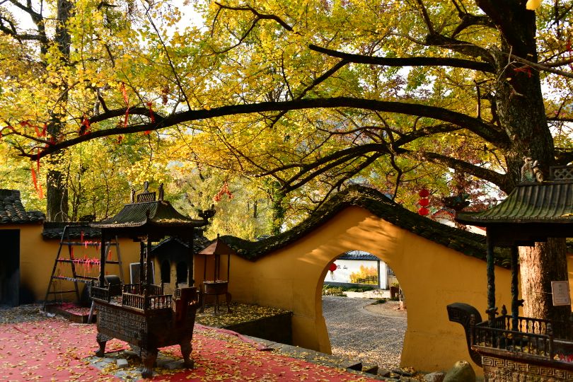 空王教寺