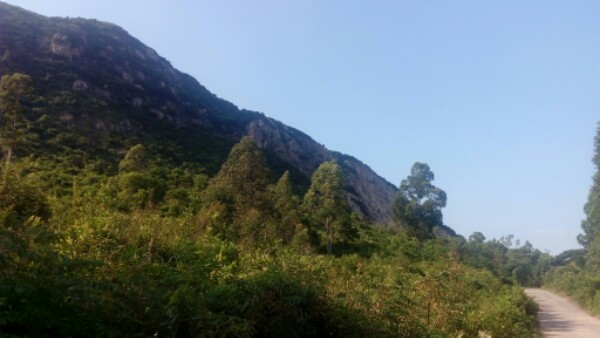 广东省茂名市高州市