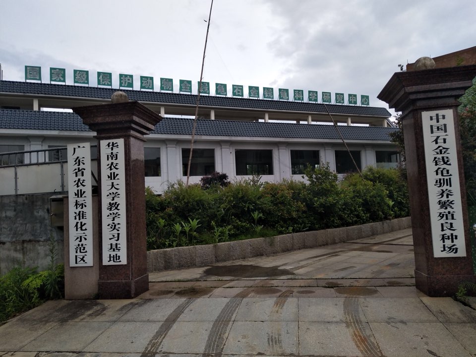 云浮市云安区完璧金钱龟养殖有限公司
