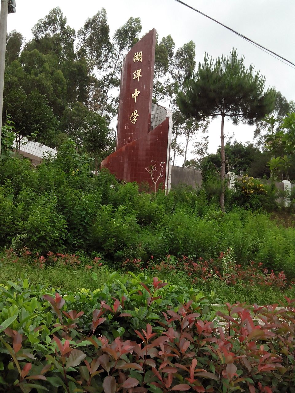 福建省龙岩市上杭县湖洋中学(205国道南)