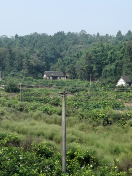 资阳市安岳县