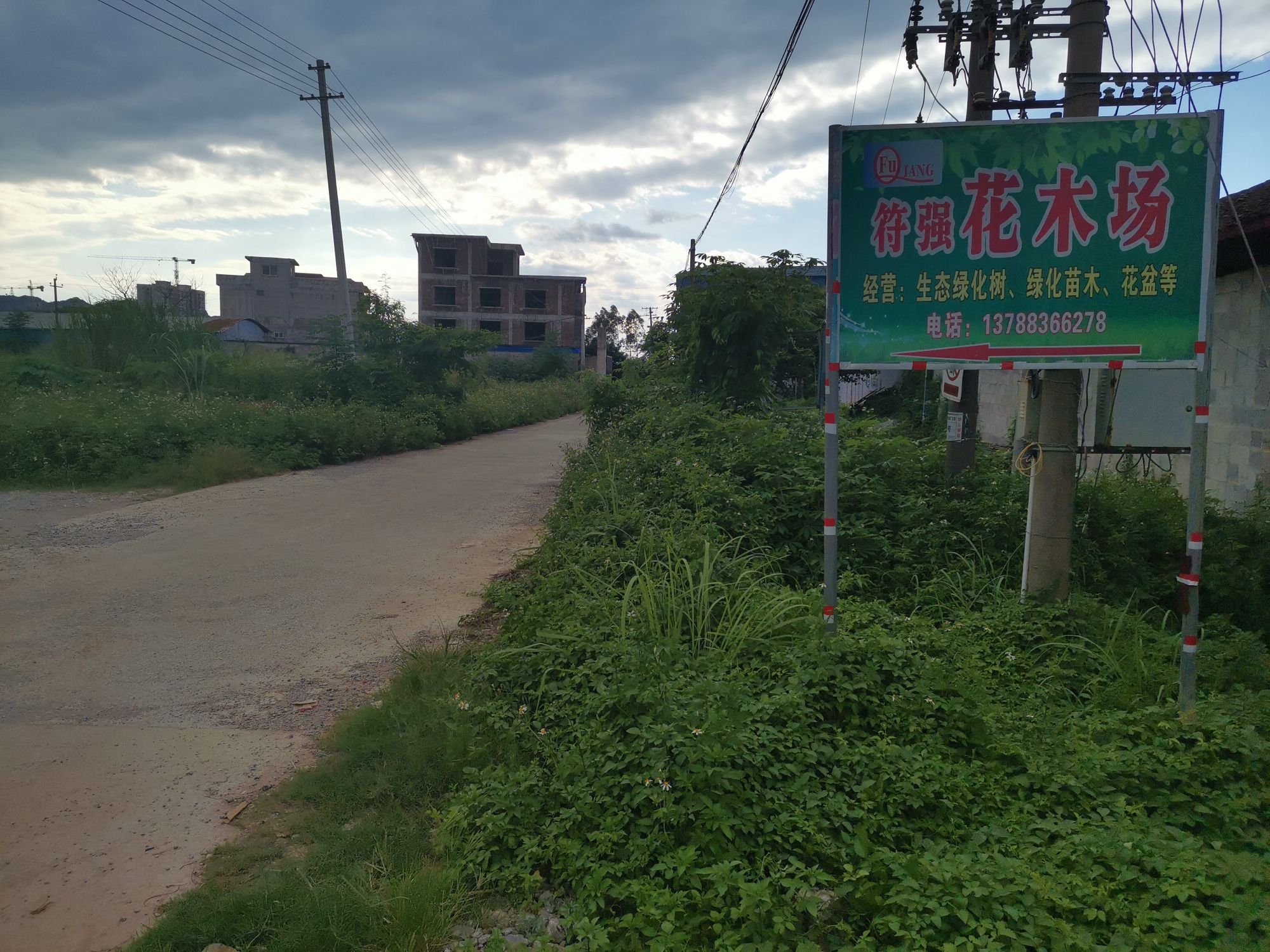 清明村地名网_广西壮族崇左市龙州县彬桥乡清明村资料简介