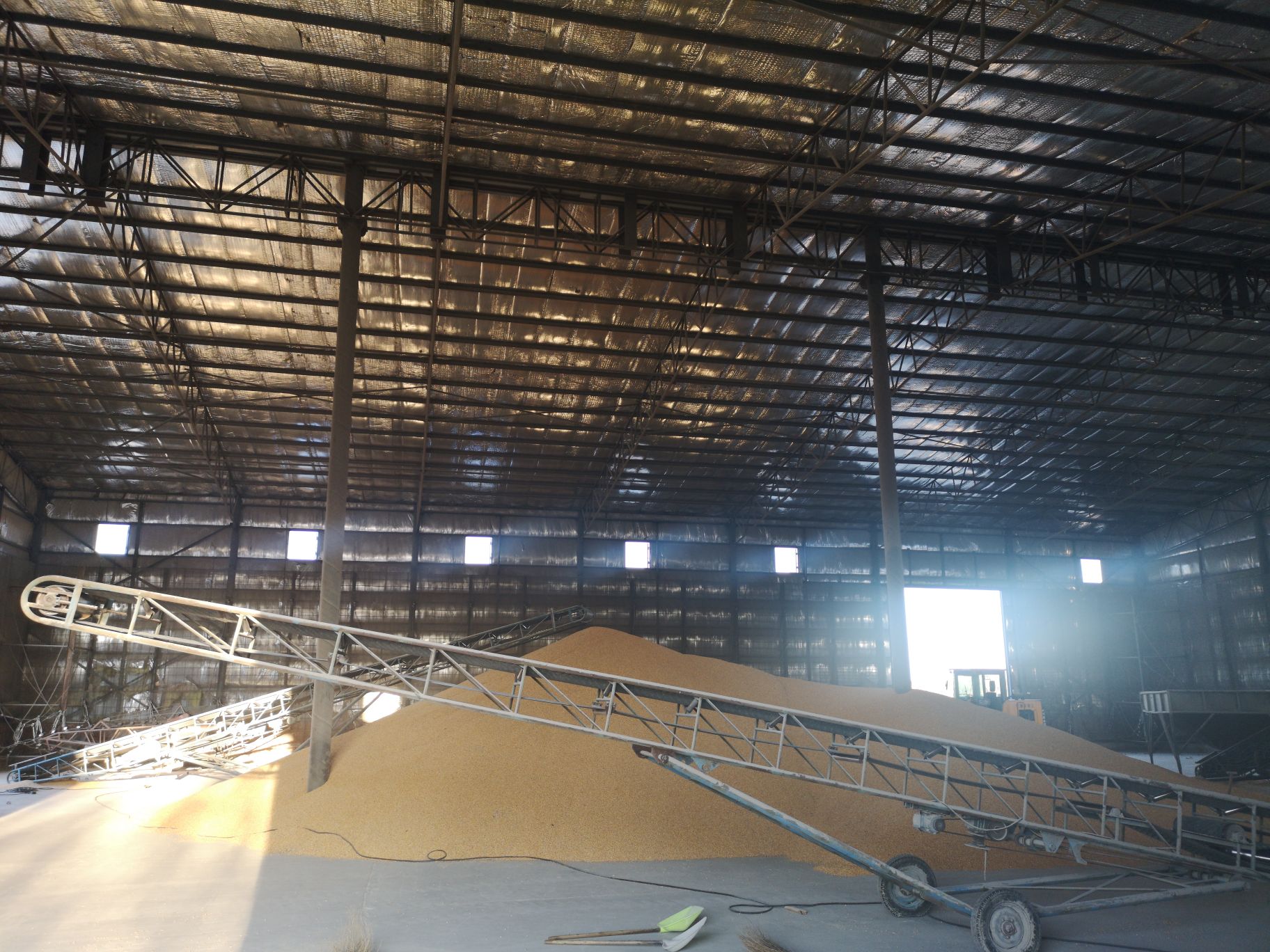 肇东市昊泽粮食收购有限公司