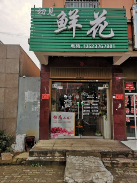 初见鲜花(工九路店)