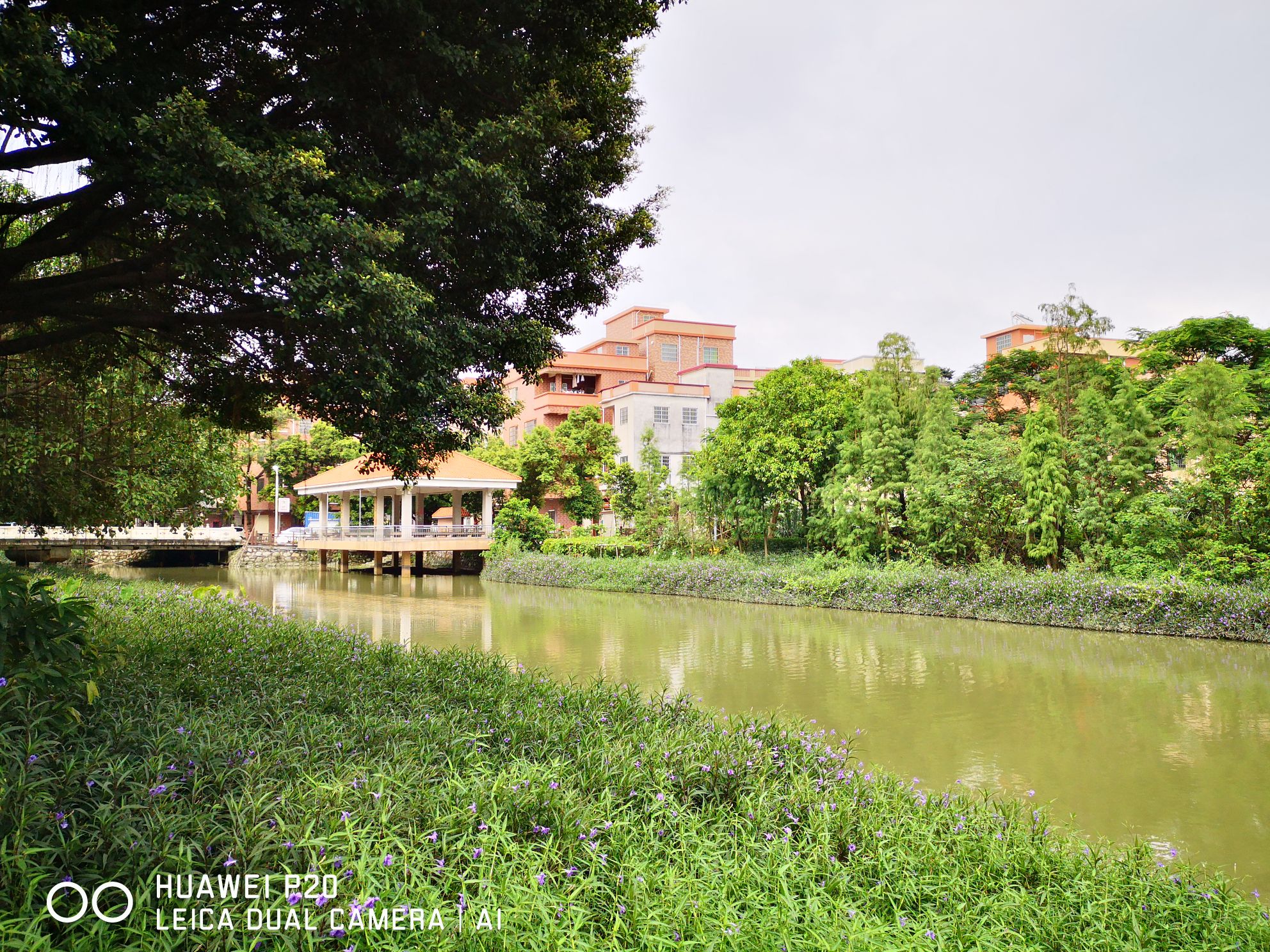 文化体育公园-大步公园