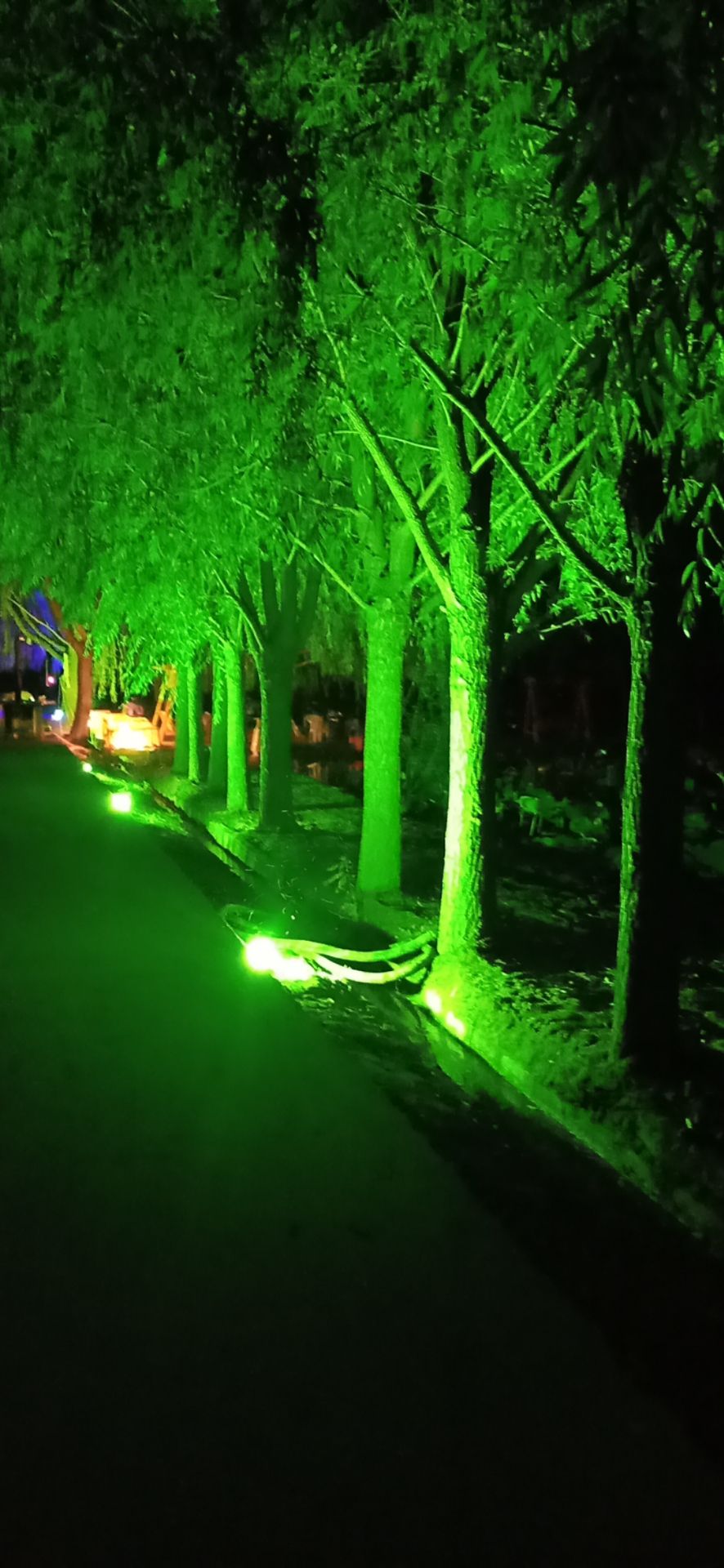 平罗县绿野仙踪生态园