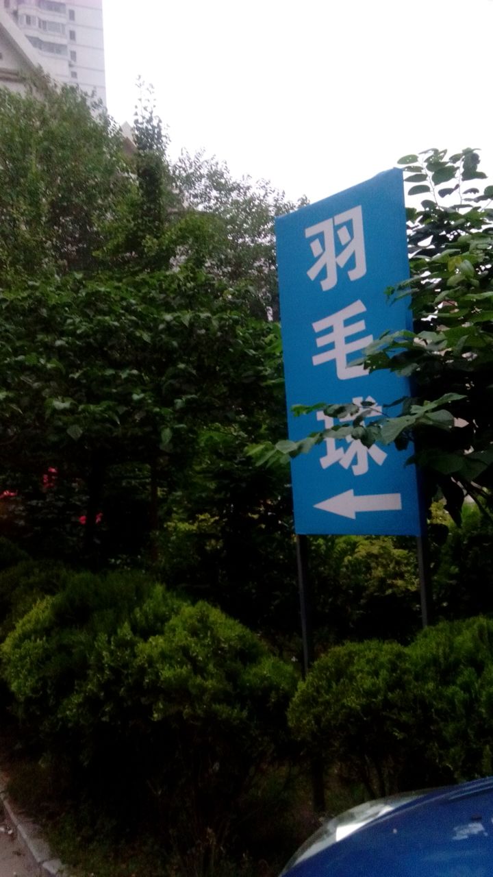 金色海岸羽毛球鞋馆