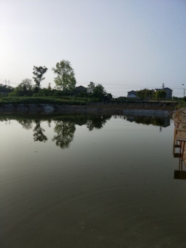 钓鱼岛垂钓园